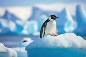 ai generado pingüino en hielo témpano de hielo antártico, pingüino flotador en el hielo témpano de hielo en el del Sur Oceano en Antártida en buscar de alimento, el efectos de global calentamiento ai generado foto