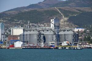 babor planta para almacenamiento, el secado y manejo de grano. Puerto carga infraestructura. carga Puerto con Puerto grúas mar bahía y montañoso costa. foto