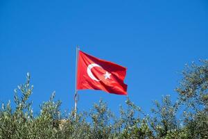 Turkish flag against the blue sky and tops of the trees. photo