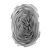 Fingerprint pattern, clear lines and swirls. Human thumbprint. Icon, pictogram, logo. Black and white illustration. Vector isolated on a white background. Security concept.