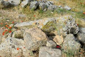 Fragments of ancient buildings, ruins of the ancient city of Hierapolis. Stone blocks with traces of stone machining. photo