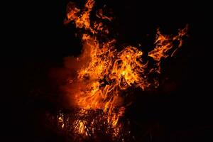 Burning of rice straw at night. photo