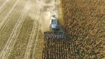 Harvester harvests corn. Collect corn cobs with the help of a combine harvester. Ripe corn on the field. photo