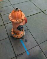 Fire hydrant stands tall on a city street in Portland, USA, symbolizing safety, emergency preparedness photo