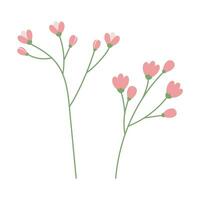 2 abstract isolated flowering branch in trendy soft shades. Design elements for springtime greetings vector