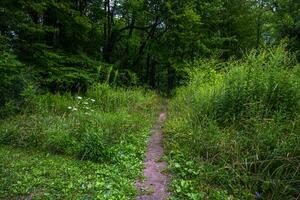 Chestnut Ridge Park Eternal Flame Falls photo