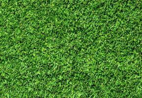 Natural Green grass texture background Close up Top view photo