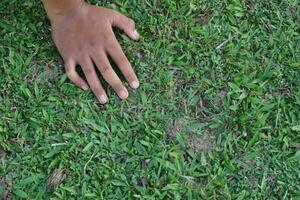 Top view of kids hand on grass photo