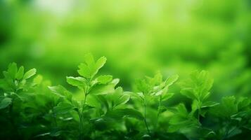 AI generated Green soft background photo