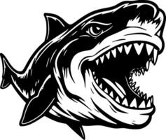 Shark - Black and White Isolated Icon - Vector illustration