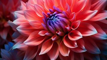 AI generated vibrant dahlia blossom a gift of nature beauty in macro photo