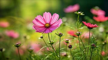 AI generated vibrant cosmos flower in meadow surrounded by fresh green photo