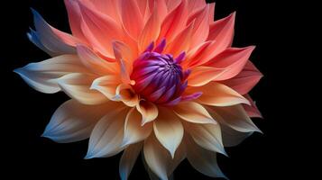 AI generated vibrant petals of a single dahlia showcase nature photo