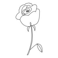 continuo hermosa Rosa flores soltero línea dibujo vector Arte