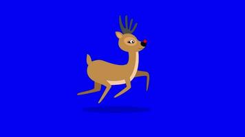 Animated Reindeer Run video