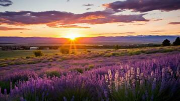 ai generado sereno puesta de sol terminado lavanda campo. ai generado. foto