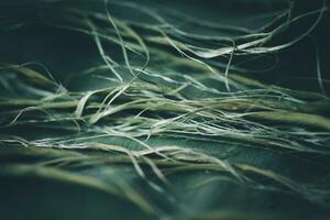 Balinese-style banana leaves torn from dry stems stacked on top of each other, green background style photo