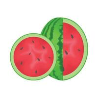 illustration of watermelon vector