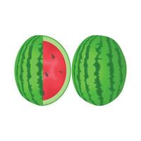 illustration of watermelon vector