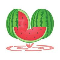 illustration of watermelon vector