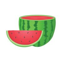 illustration of watermelon vector