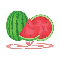 illustration of watermelon vector