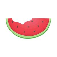 illustration of watermelon vector