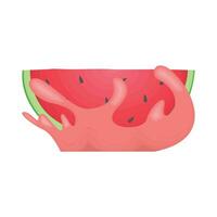 illustration of watermelon vector