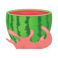 illustration of watermelon vector