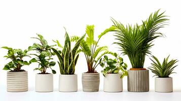 AI generated plant in a pot, Set of different variation plant pots floral arrangement isolated on white background photo