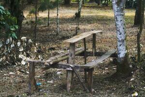 sillas y de madera mesa en el bosque foto