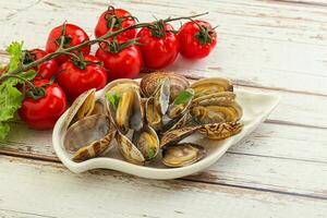 Vongole shellfish mollusc clem with butter photo