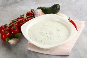 Traditional delicious appetizer greek tzatziki photo