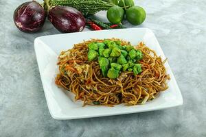 Stir fried noodles with chicken photo