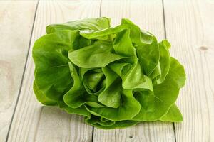 Salad leaves heap for snack photo