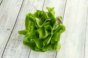 Salad leaves heap for snack photo