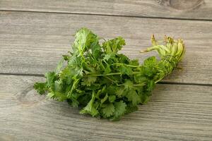 Green coriander leaves herb heap photo