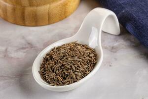 Zeera seeds in the bowl photo