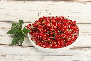 Sweet ripe red currant berries photo