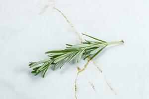 Rosemary branch - organic spicy herb photo