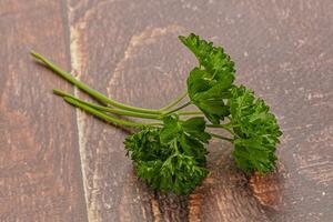 Green parsley leaves heap isolated photo