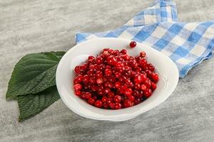 Ripe sweet wild organic cowberry photo