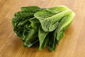 Green fresh juicy Romano salad photo