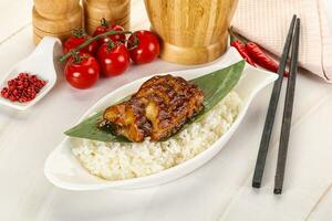 Grilled eel with steamed rice photo