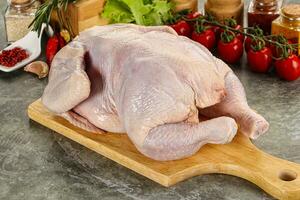 Raw whole chicken for cooking photo