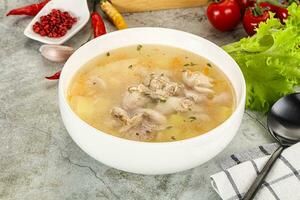 Homemade chicken soup with vegetables photo