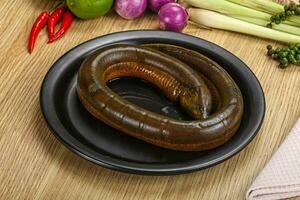 Fresh raw uncooked eel for grill photo