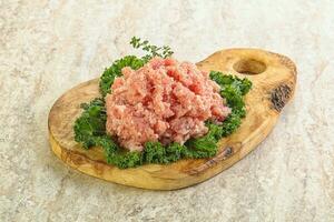 Raw pork minced meat for cooking photo