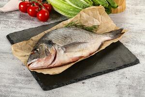 Raw dorada fish served rosemary photo