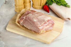 Raw uncooked pork meat loin photo